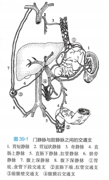图源9版外科学P423